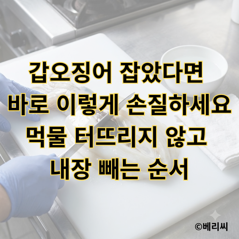 갑오징어 잡았다면 바로 이렇게 손질하세요｜먹물 터뜨리지 않고 내장 빼는 순서