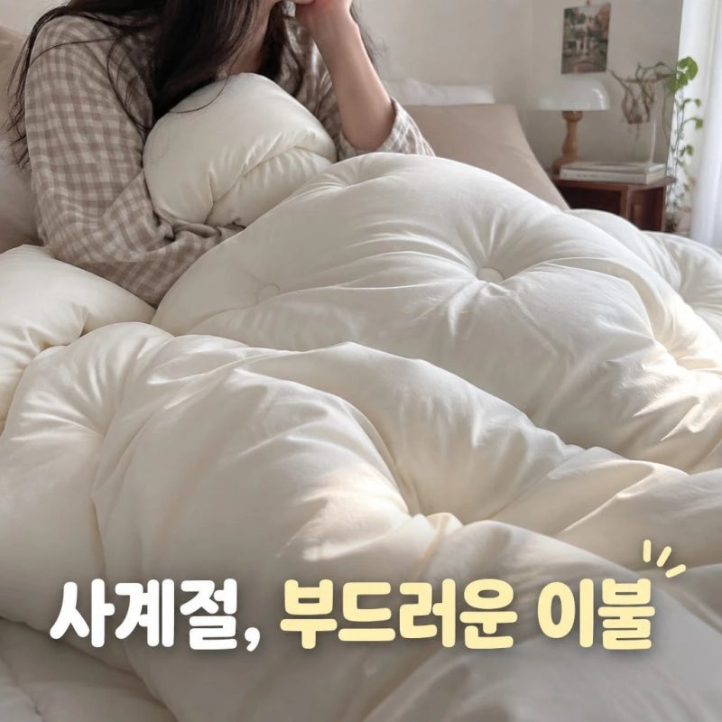 차렵이불 추천 베이직톤 모달 100 렌징 텐셀 슈퍼싱글 사계절 고르는 기준
