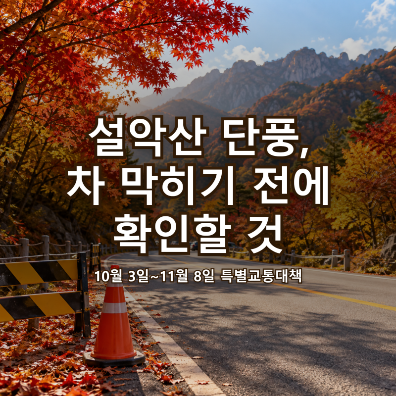설악산 단풍 "차 못 들어간다고?" 10월 3일 교통통제·무료주차장·셔틀 확인
