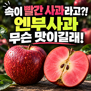 엔부사과 속이 빨간데 무슨 맛? 특징 수확시기 가격 제철 엔비사과 비교 총정리