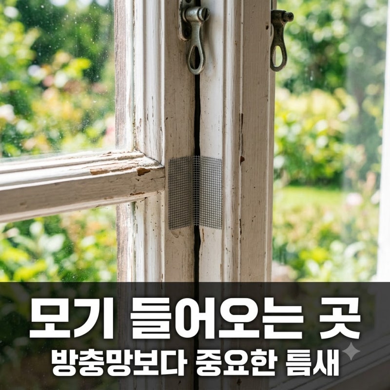 모기 들어오는 곳, 방충망만 닫으면 소용없죠? 틈새 막는 5가지 비법