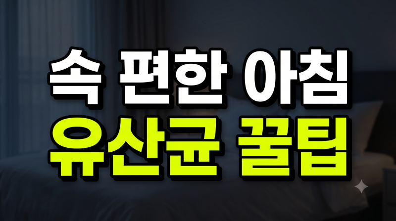 유산균 복용 시간 공복 vs 식후 위산 생존율과 올바른 섭취 타이밍