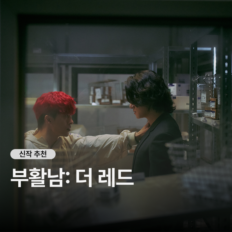 부활남 더 레드 리뷰, 죽을수록 세지는 구교환표 오락 액션 후기(쿠키포함)