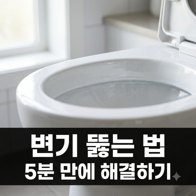 변기 막혔을 때 뚫는 법 5가지, 기사 부르기 전 해볼 확실한 방법