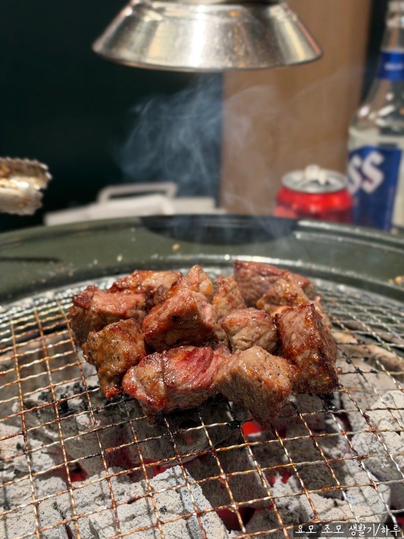 서울 잠실 담가 화로구이 잠실1호점 소고기 맛집