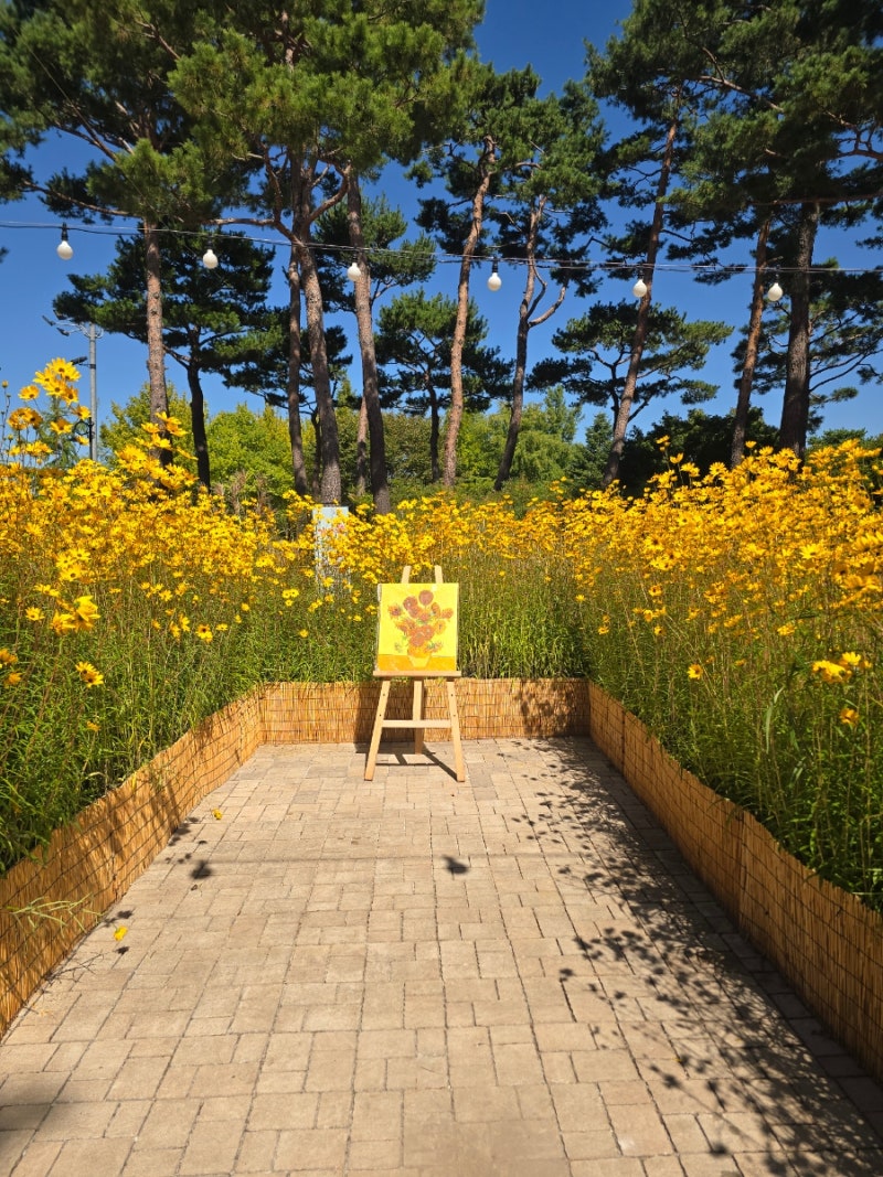 대전 한밭수목원 가을 꽃 전시회: 대전 가을 꽃 구경 가볼만한 곳 추천! 주차장, 한밭수목원 ....