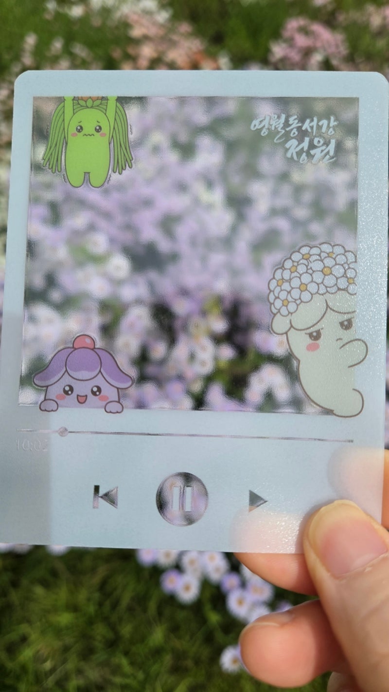 강원도 영월 [정원이 되다] 2026정원산업박람회에 다녀 왔어요. 관람후기