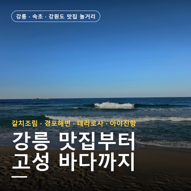 강릉 속초 강원도 맛집 놀거리 코스 갈치조림부터 경포해변 테라로사·아야진항까지