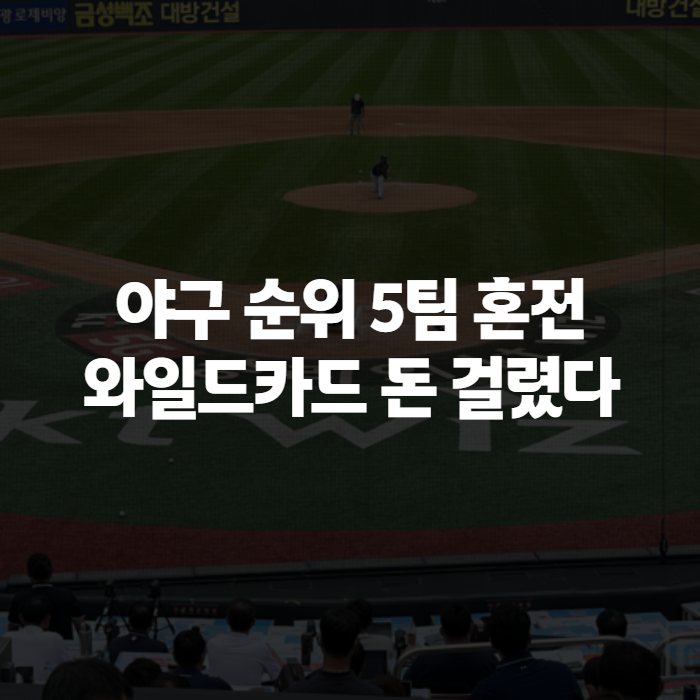 야구 순위 혼전 속 프로야구 일정, 가을야구 와일드카드가 돈이 되는 이유