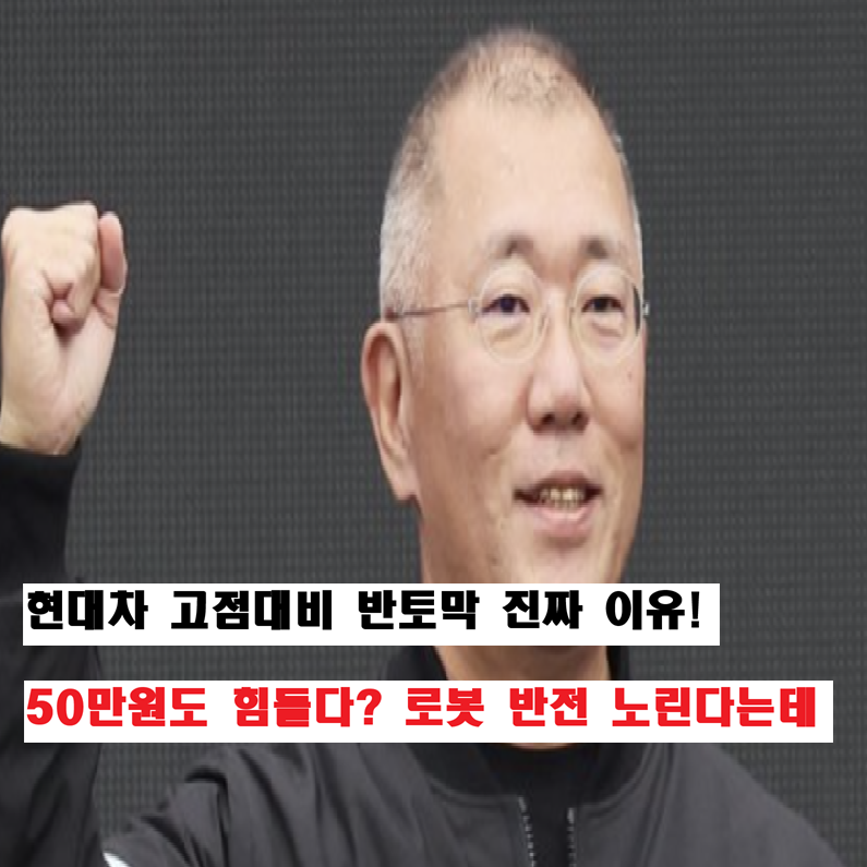 "현대차 주가 반토막 난 진짜 이유" 50만원도 쉽지 않다? 로봇 도약 꿈꾼다는데