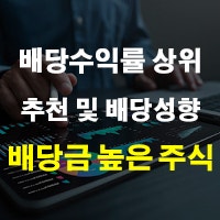 배당금 높은 주식 추천 및 배당성향 배당수익률 상위 종목 뜻 정리