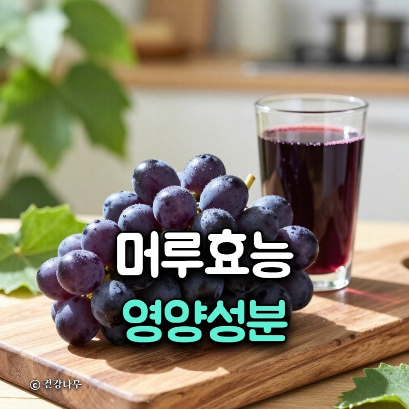 머루 효능과 영양성분, 맛있게 먹는 법과 주의할 점