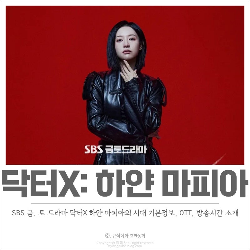 닥터X 하얀 마피아의 시대 기본정보, OTT, 등장인물, 몇부작 SBS 드라마 추천
