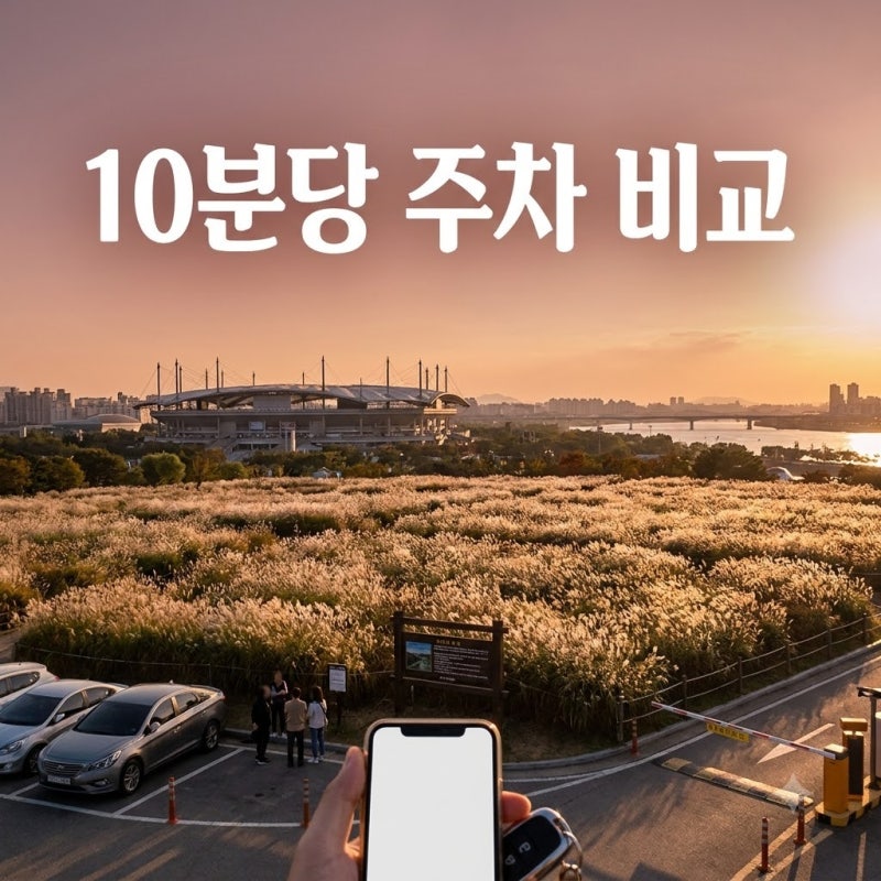 상암 하늘공원 억새축제 주차 팁, 10분 만에 대는 방법