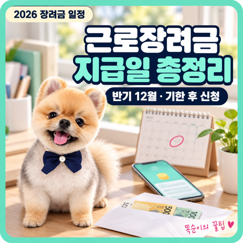 근로장려금 지급일 2026 총정리, 반기분 12월 지급과 기한 후 신청 입금 시기까지 한눈에