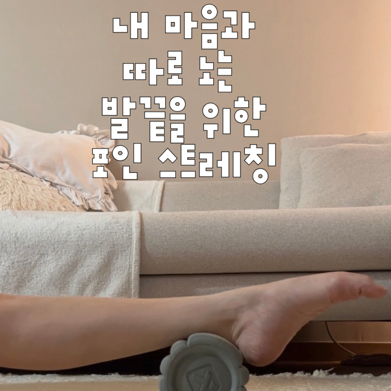 성인발레 포인 스트레칭｜마음처럼 안 따라오는 발끝, 꾸준히 연습하는 방법