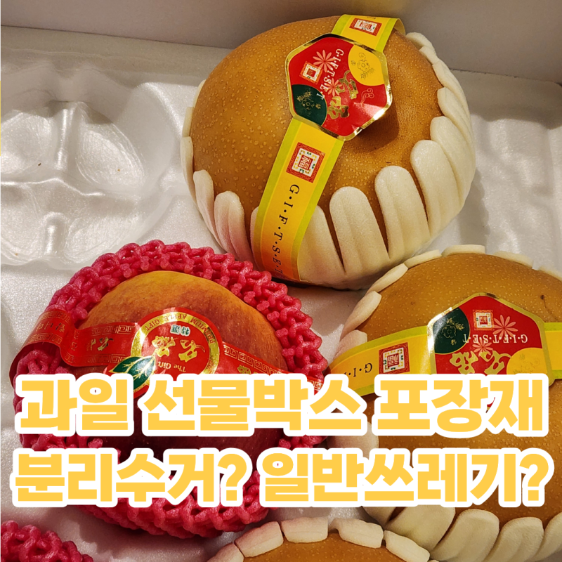 과일 선물박스 완충재 포장재 분리수거 일반쓰레기 버리기