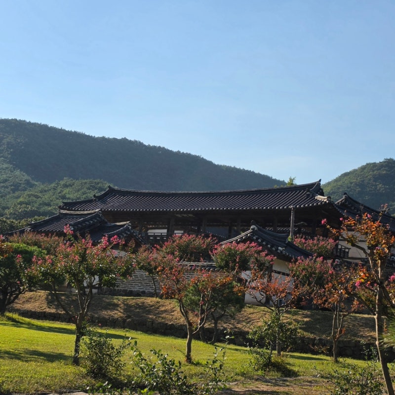 안동 가볼만한 곳 병산서원 총정리｜하회마을 근처 여행코스·주차·만대루 후기
