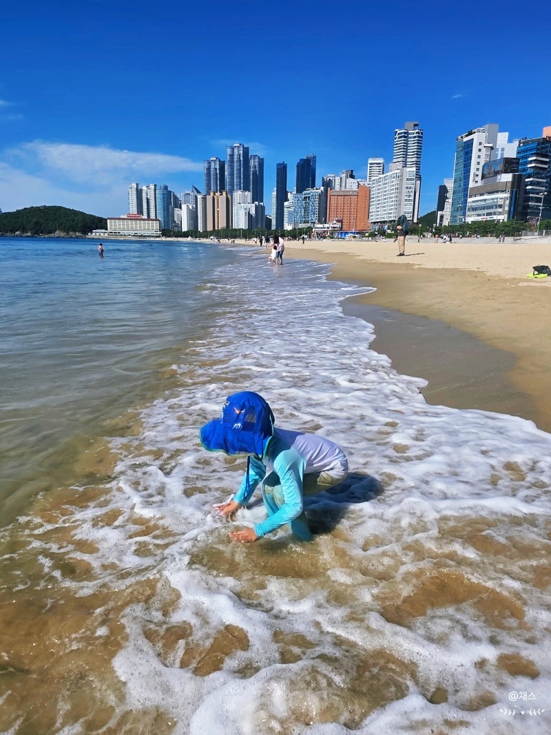 해운대 해수욕장 & 해운대 전통 시장! 아이와 함께 해운대 여행 필수 코스