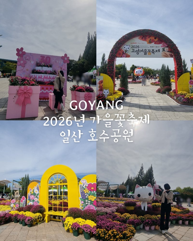 2026년 고양시 가을꽃축제 일산 가을꽃 나들이 추천 일산 호수공원 직접 방문 후기