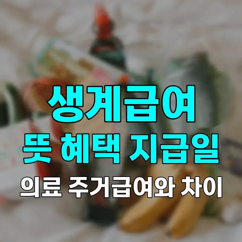 기초수급자 생계급여 뜻 혜택·지급일까지, 의료·주거급여와 갈리는 결정적 차이