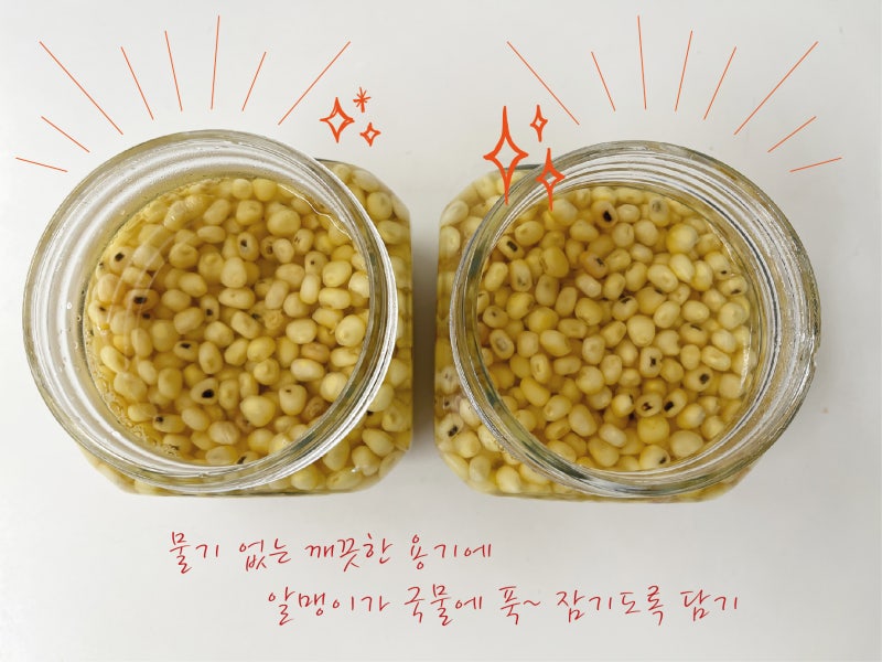 [일상] 여름 끝물의 옥수수로 ‘수제 스위트콘’ 만들기