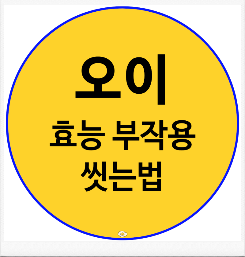 오이 먹기 전 알아두세요 효능 부작용 보관법 씻는법 정리