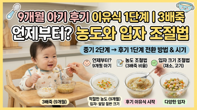 9개월 아기 후기 이유식 1단계｜3배죽 언제부터? 농도와 입자 조절법
