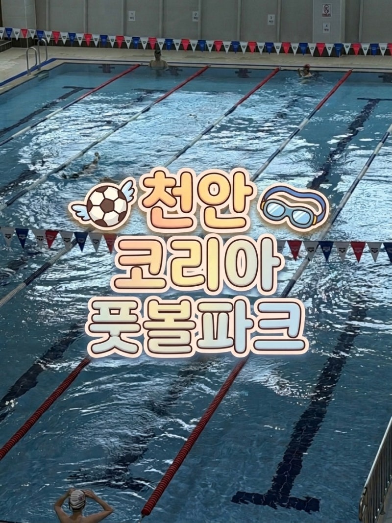 천안 코리아풋볼파크 아레나 수영장 후기 무료 자유수영 직접 가보니
