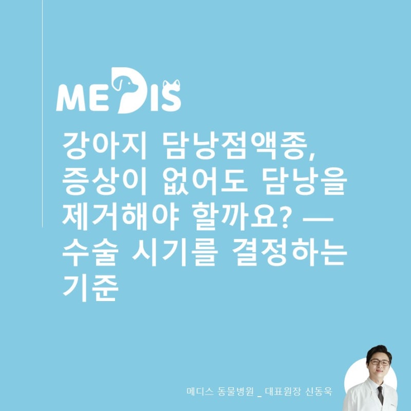 [수의사의 진료실 노트 #0147]강아지 담낭점액종, 증상이 없어도 담낭을 제거해야 할까요? — ....