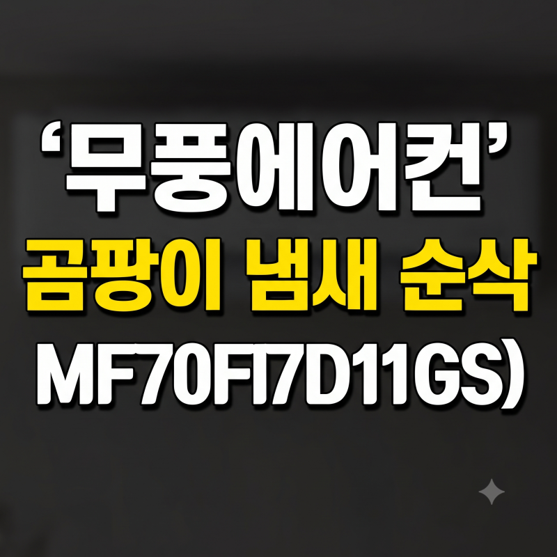 삼성 비스포크 무풍에어컨 AF70F17D11GS 필터 청소법과 퀴퀴한 곰팡이 냄새 없애는 법