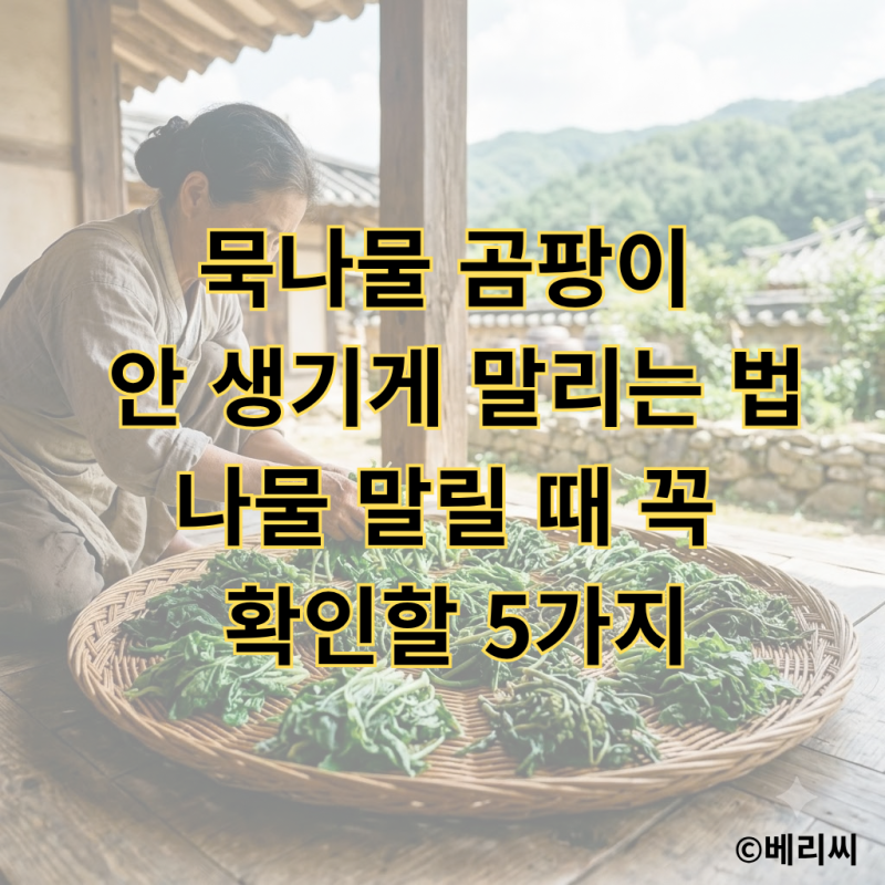 묵나물 곰팡이 안 생기게 말리는 법｜나물 말릴 때 꼭 확인할 5가지
