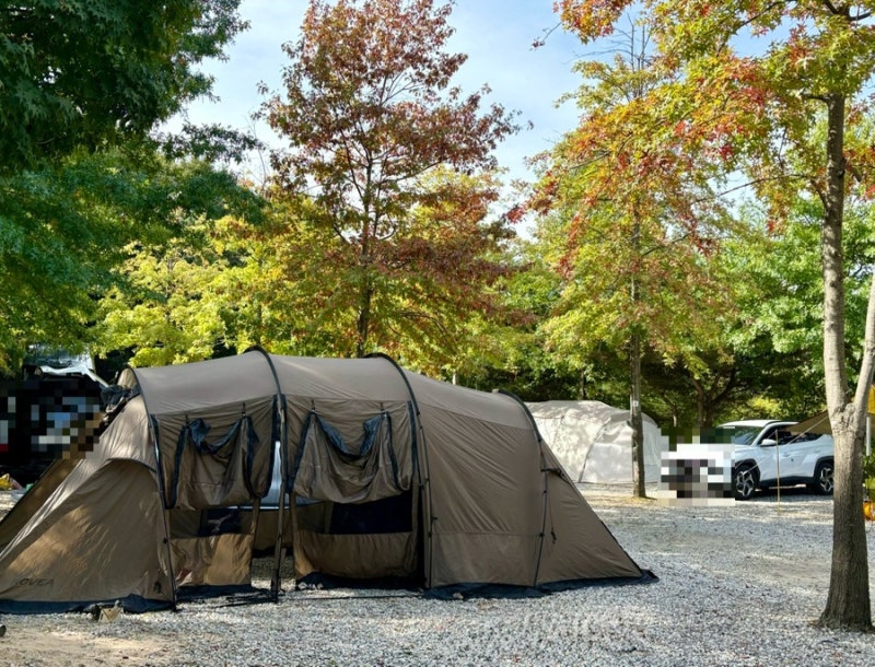 First Time Pitching a Tent? That's Me! Review of Yongin Danpungsup Campground with 4 and 6-Year-Old Kids