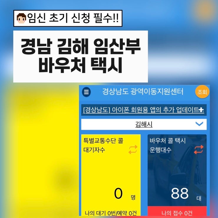 임신초기 신청 필수 | 경남 김해시 임산부 바우처 택시 신청 방법 및 이용 후기