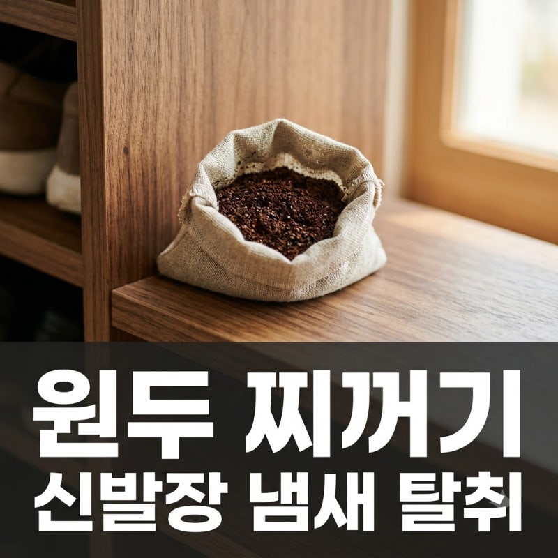 "카페에서 그냥 버려지던 이것".. 신발장 냄새 3분 만에 잡는 원두 찌꺼기 활용법