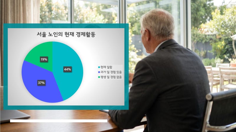 노인일자리 사업이란?｜서울 노인의 취업 현실과 노인일자리 정책