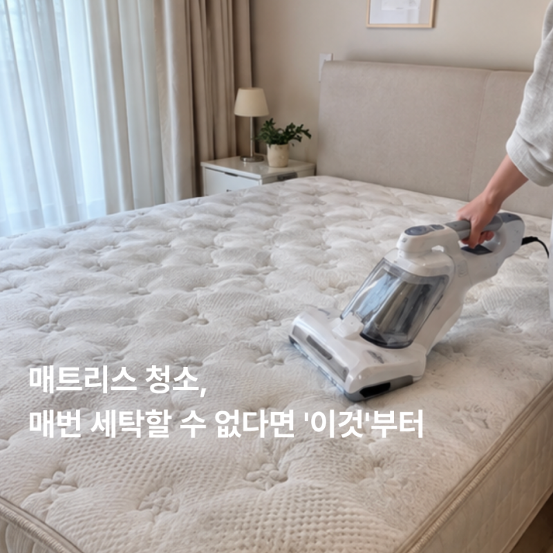 매트리스 청소, 매번 세탁할 수 없다면 '이것'부터, 관리꿀팁