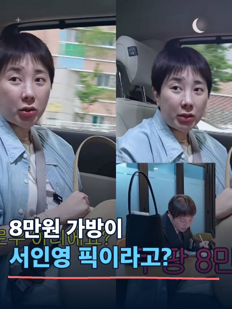 "이거 얼마게요?" 쿠팡서 산 8만원 가방 하나로 난리 난 서인영 정체
