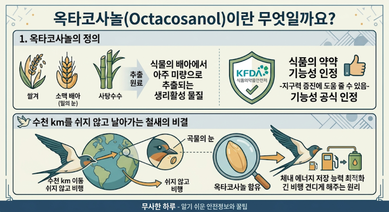 마라톤 후반 퍼짐 방지! 옥타코사놀의 효능과 목적에 따라 고르는법. 옥타코사놀 추천
