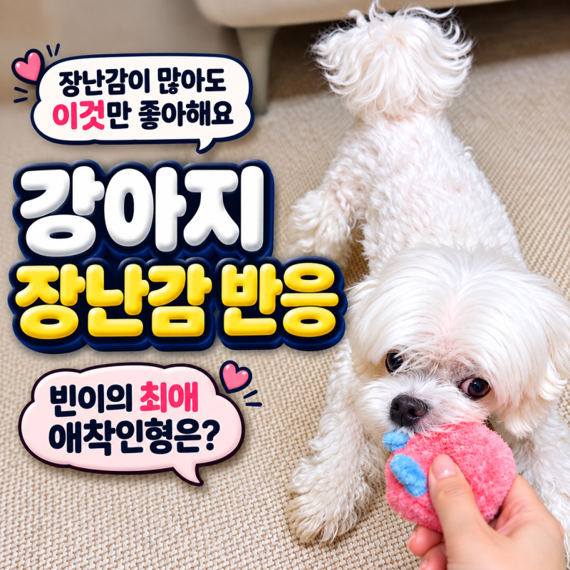 강아지 장난감 반응, 빈이의 애착인형은 따로 있었어요