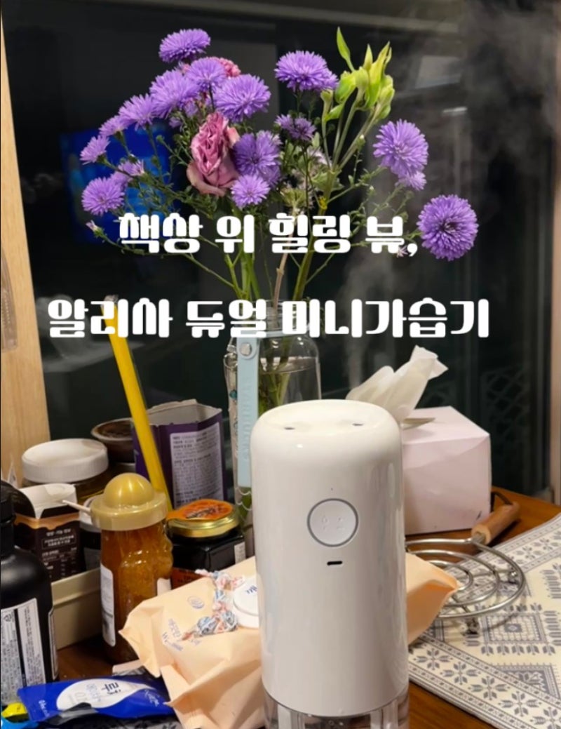 건조한 사무실 책상 위 힐링템, 알리사 탁상용 미니가습기 무선 소형가습기 추천