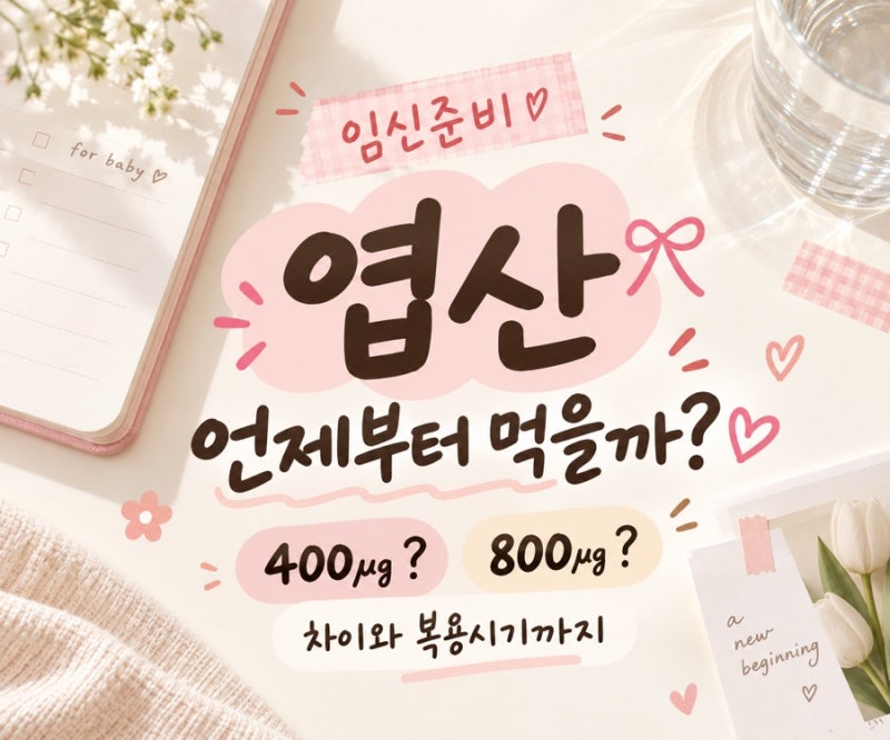 임신준비 엽산 언제부터?｜400㎍·800㎍ 차이와 복용시기