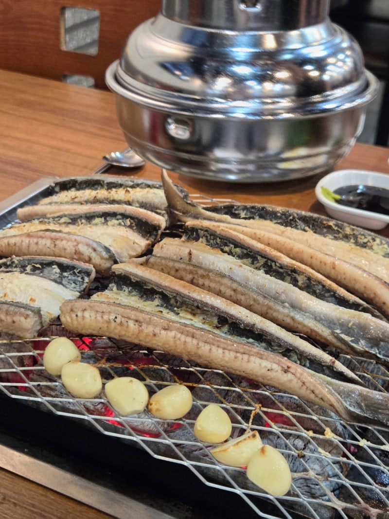 은평구 장어 맛집 풍천장어 응암점 국내산 자포니카 장어구이 후기