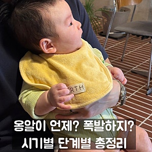 아기 옹알이 시기 및 단계 총정리! 생후 70일 옹알이 폭발 반응해 주는 꿀팁