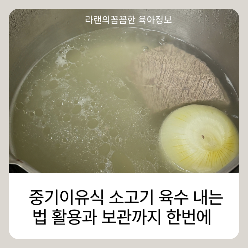 중기이유식 소고기 육수 내는법 활용과 보관까지 한번에 끝내기