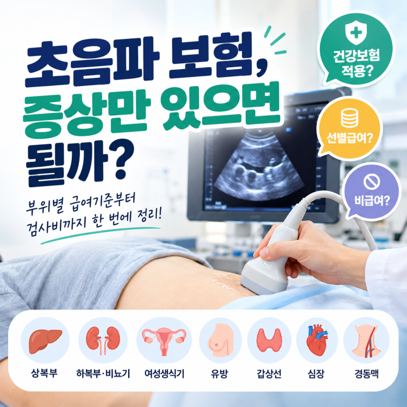 초음파 보험,증상만 있으면 될까? 급여·비급여·선별급여 적용