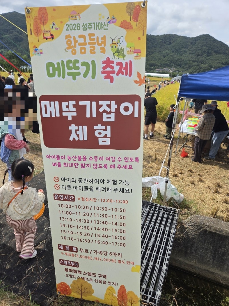 성주 메뚜기 축제｜대구/구미 근교 아이와 가볼 만한 곳, 메뚜기잡이 체험 시간·꿀팁 총정리