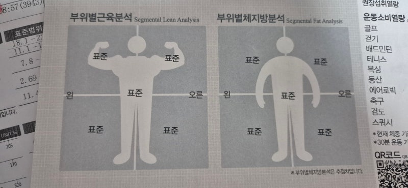 마운자로 주사 효과와 가격 (+ 부작용 없이 감량하려면?)