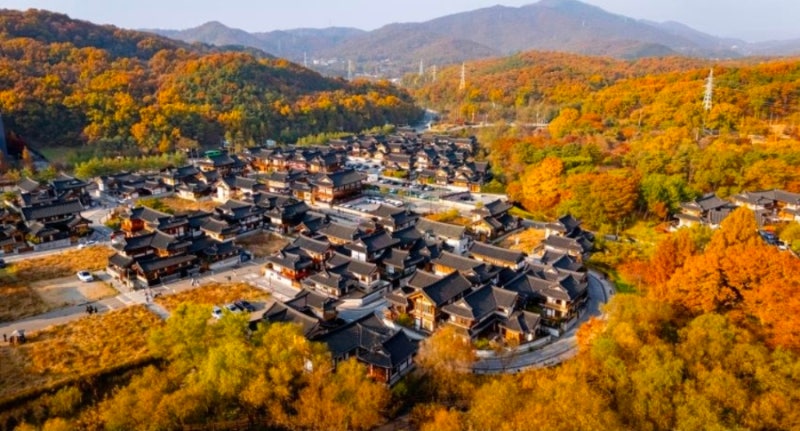 은평한옥마을 단풍 주차 꿀팁! 아이랑 가기 좋은 진관사 산책 코스 & 단풍 시기