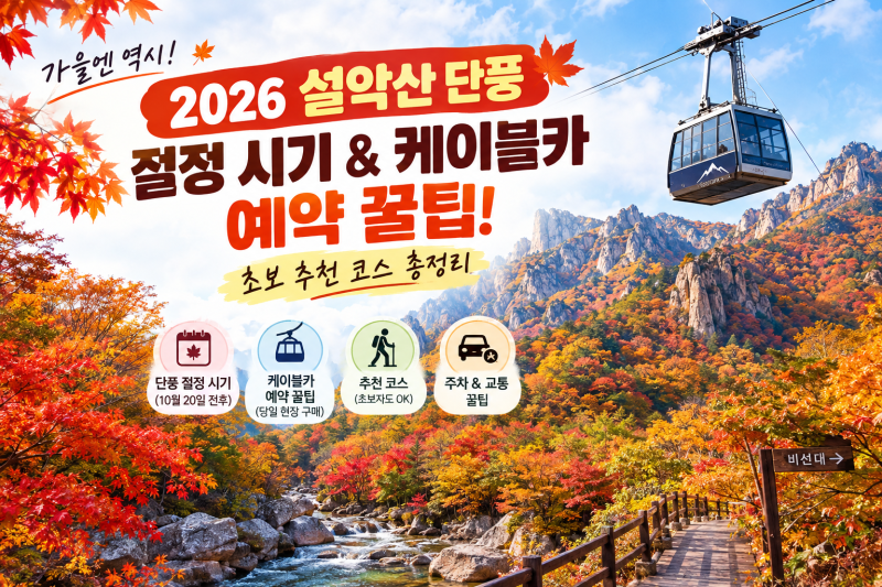 2026 설악산 단풍 절정 시기 & 케이블카 예약 꿀팁｜초보 추천 코스 총정리